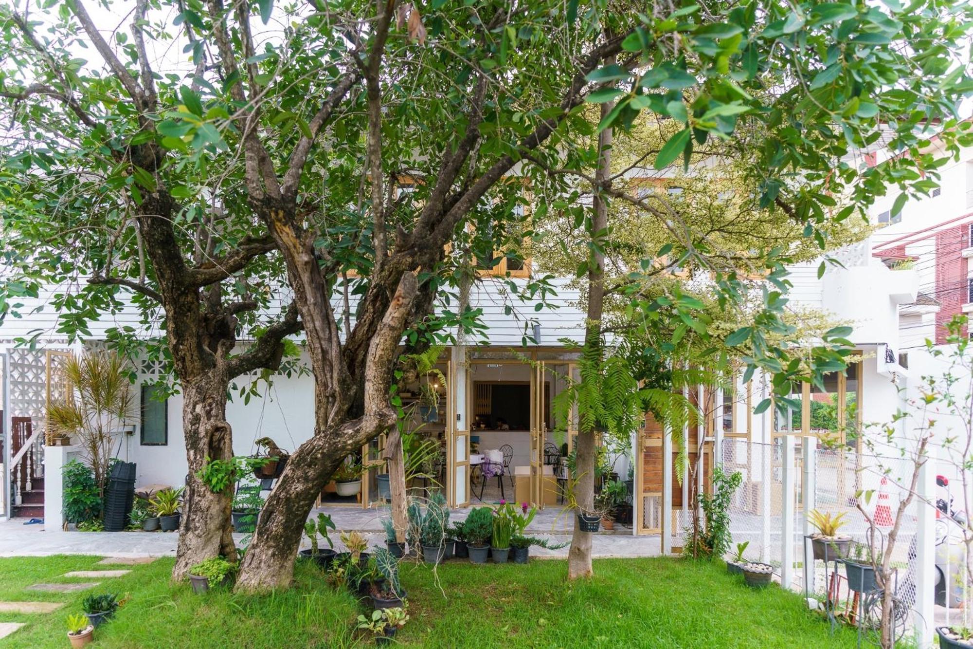 Sherva101 Home And Hostel Чіангмай Екстер'єр фото